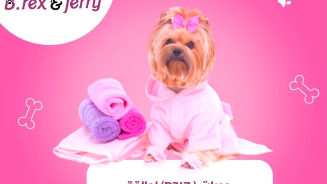 מספרת& ספא ל כלבים B.rex&jerry