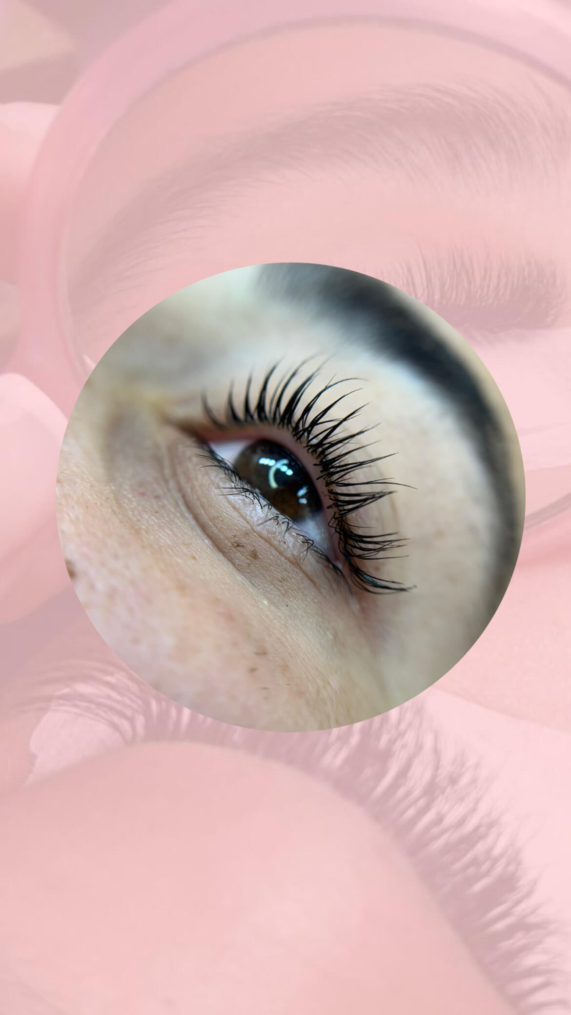  הרמת ריסים/גבות ועיצוב גבות ושפם ofri_beauty