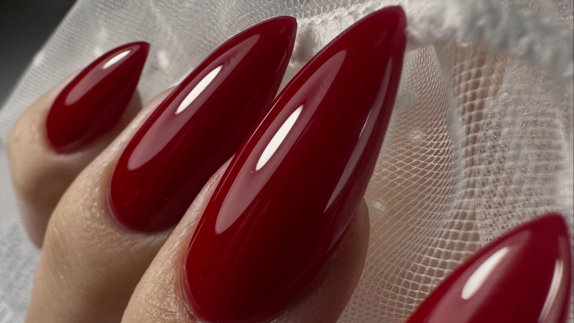 דקל חיון ניקול