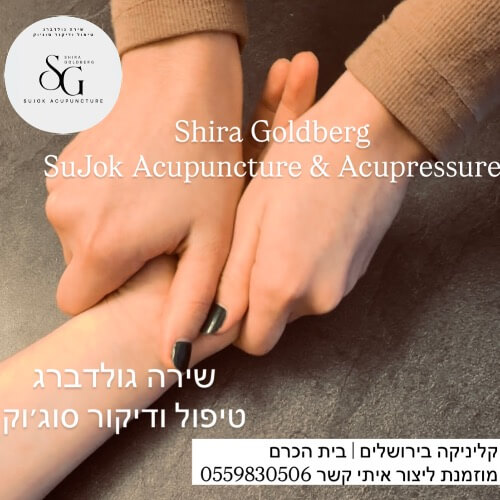 SHIRA GOLDBERG | lee