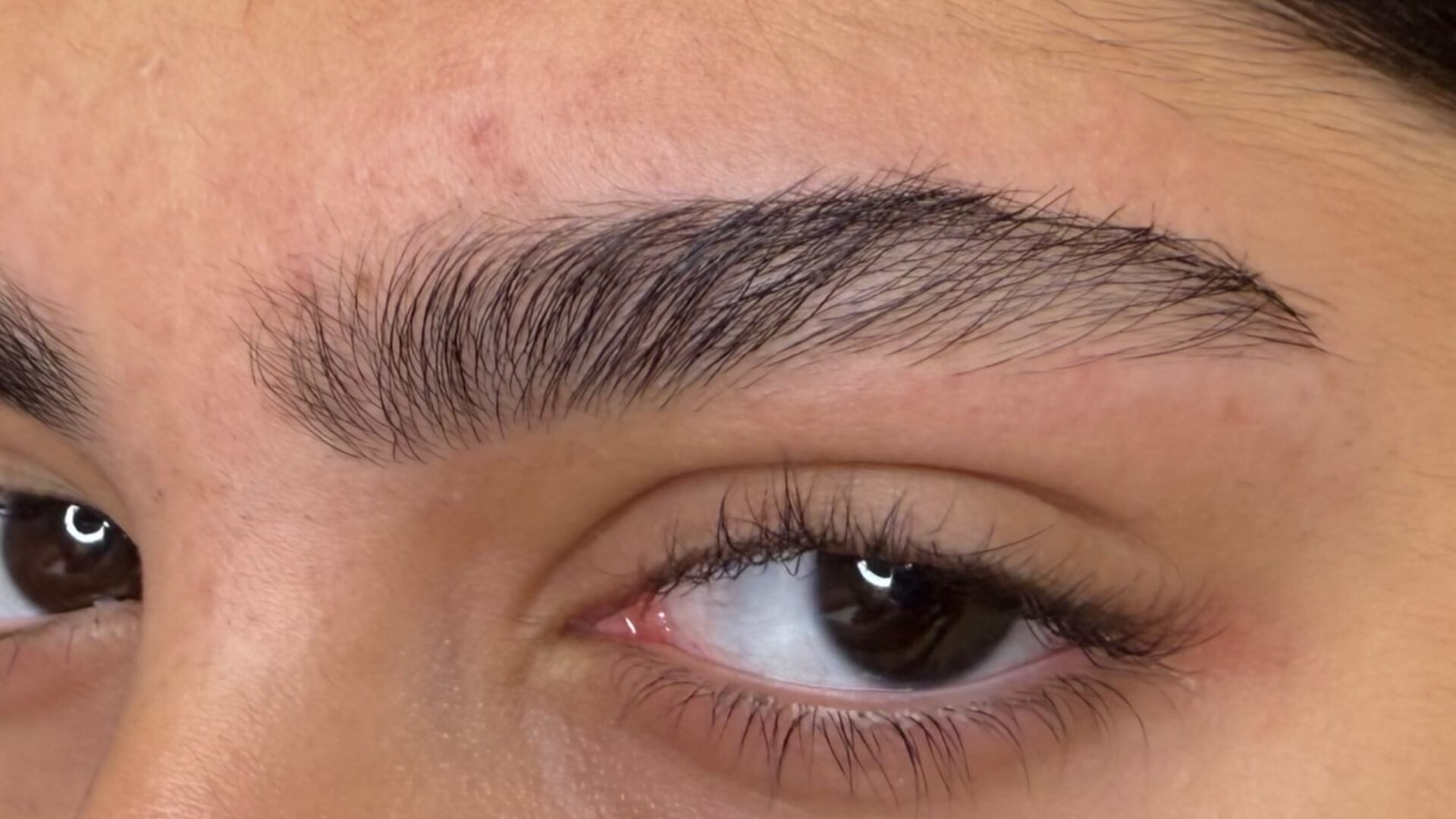 | Tair Eyebrows