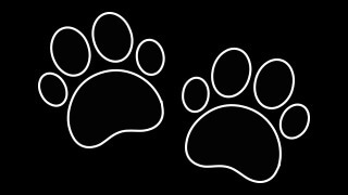 ג'סי פנסיון כלבים קטנים