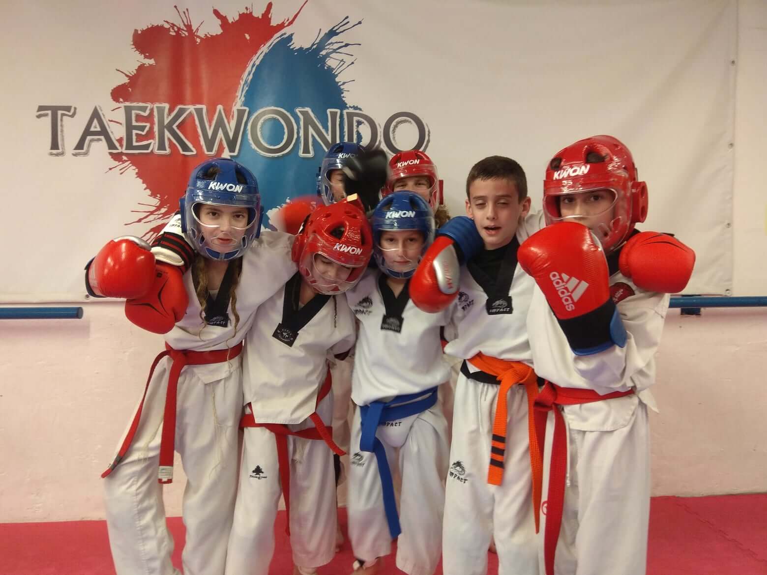 מועדון הטאקוונדו לוחם האור 