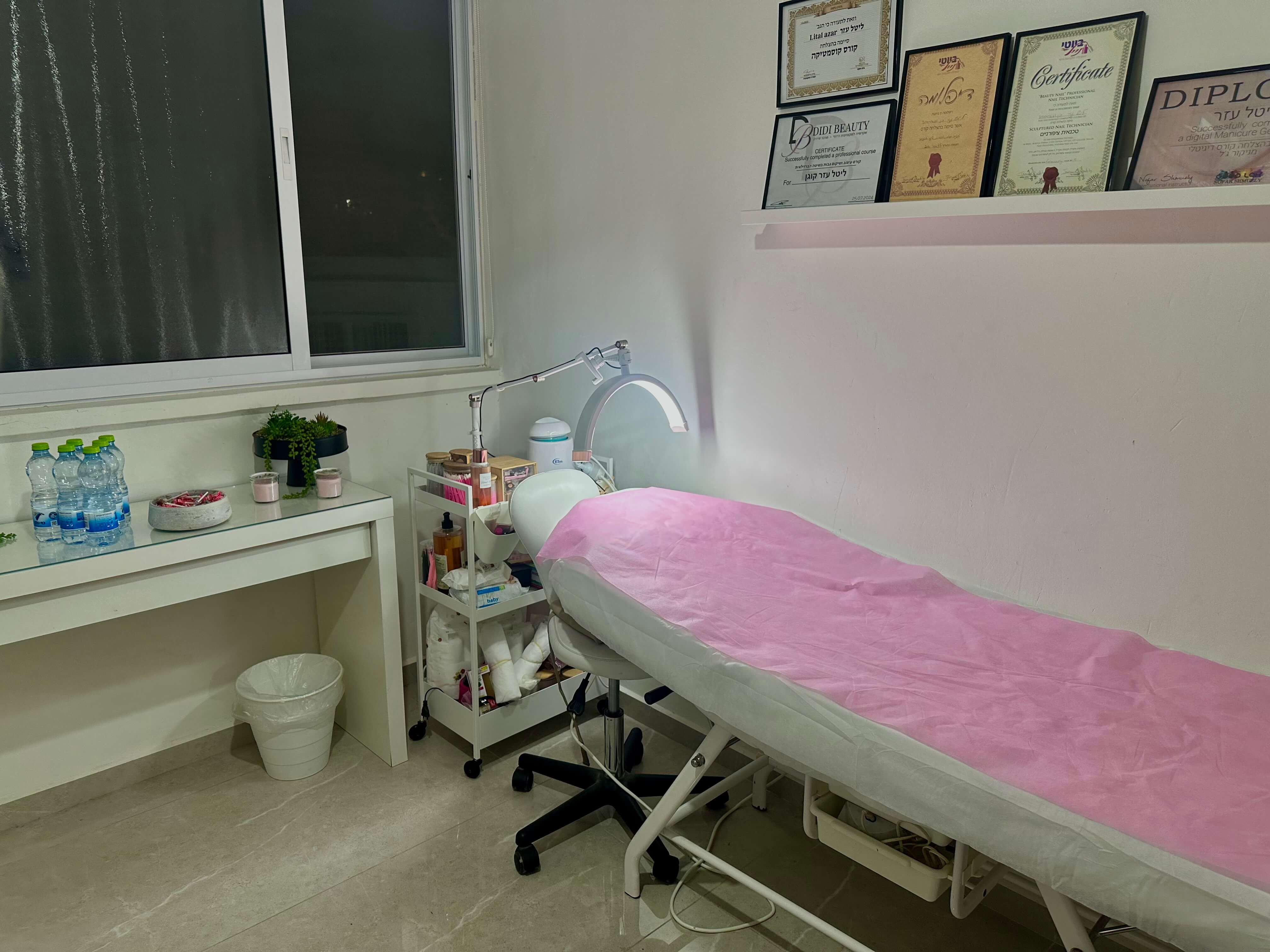 Lital kogan eyebrows artist