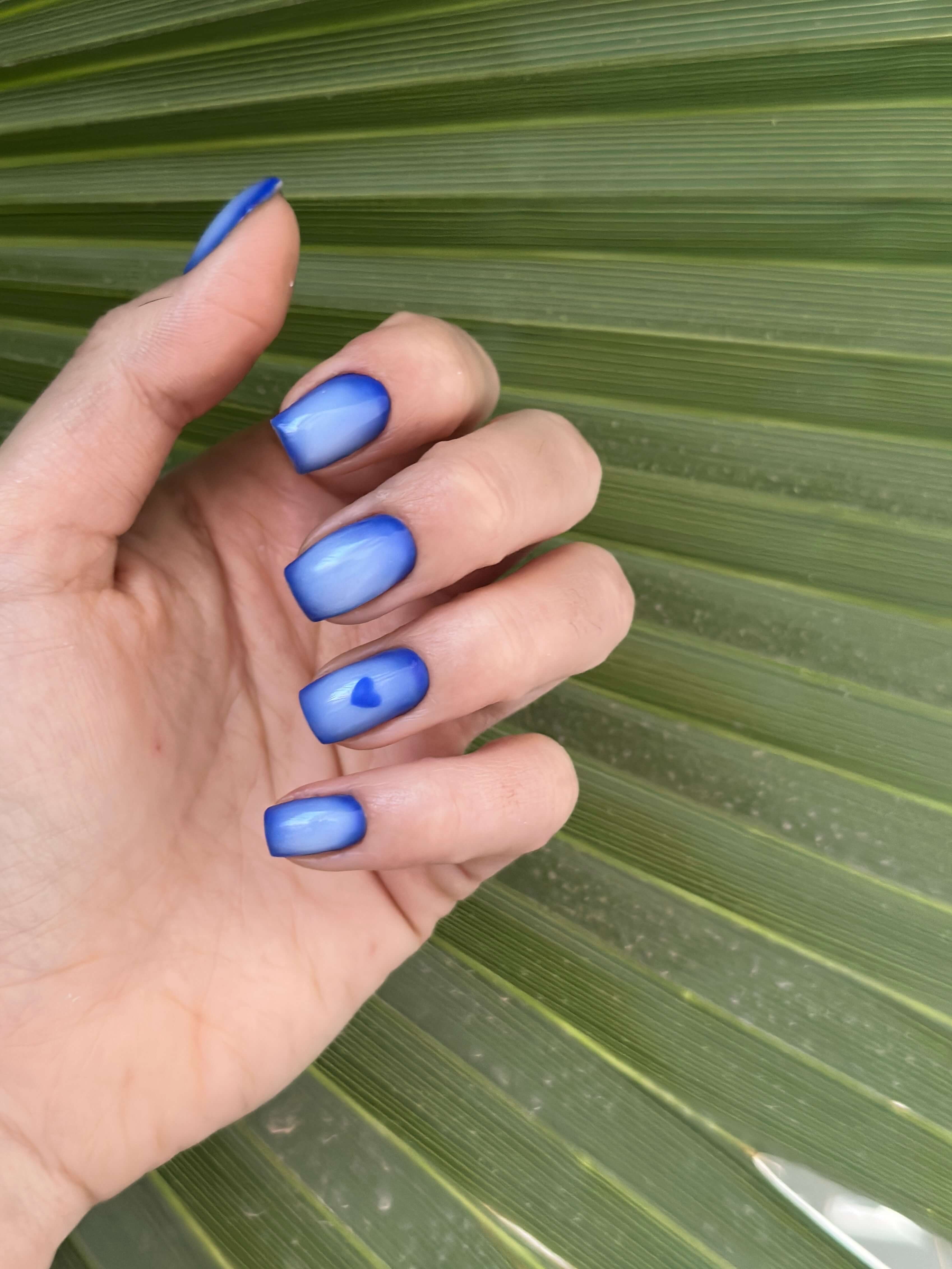 אור בנישתי ציפורניים