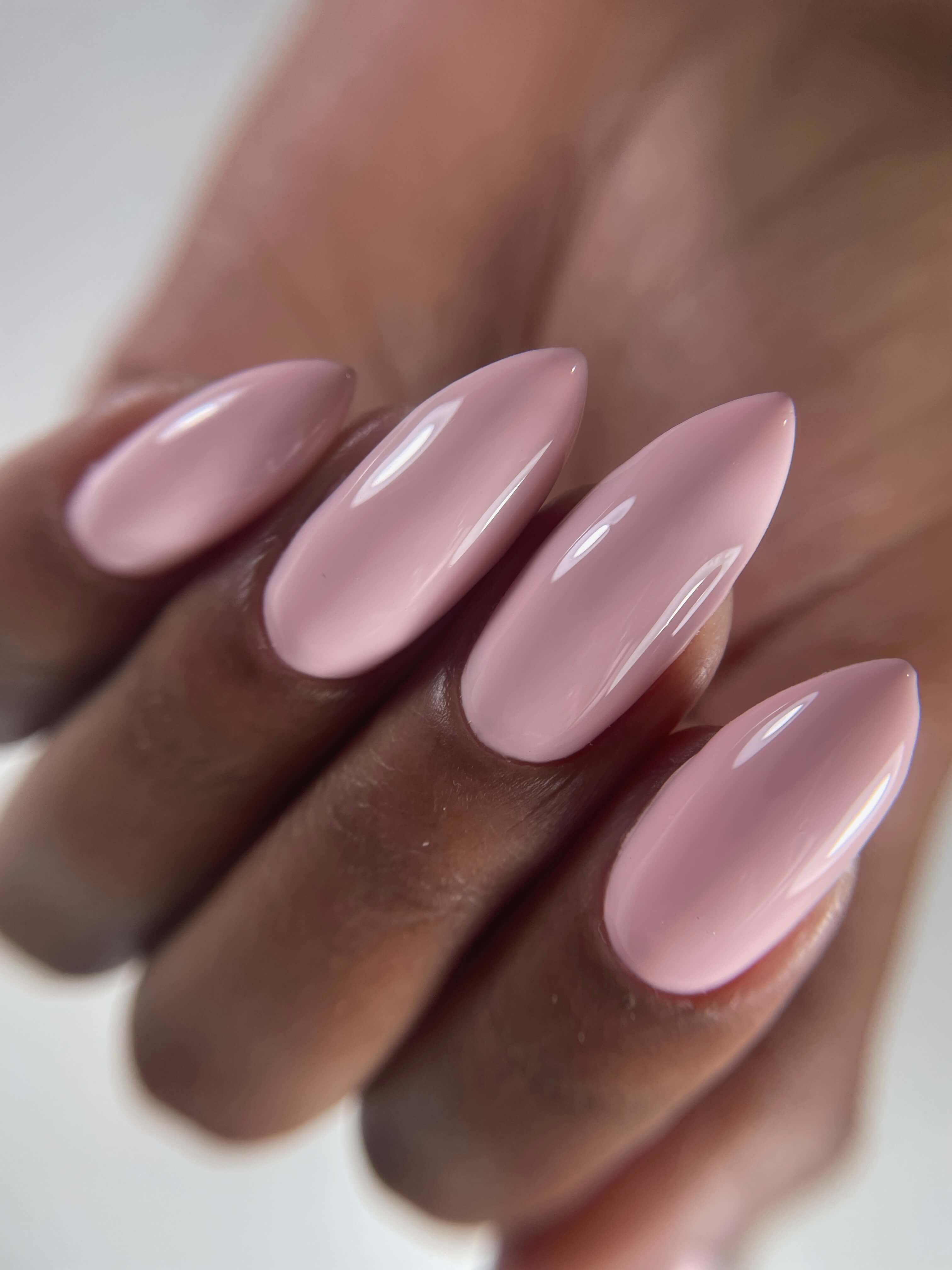 אלמוג כהן ניילס