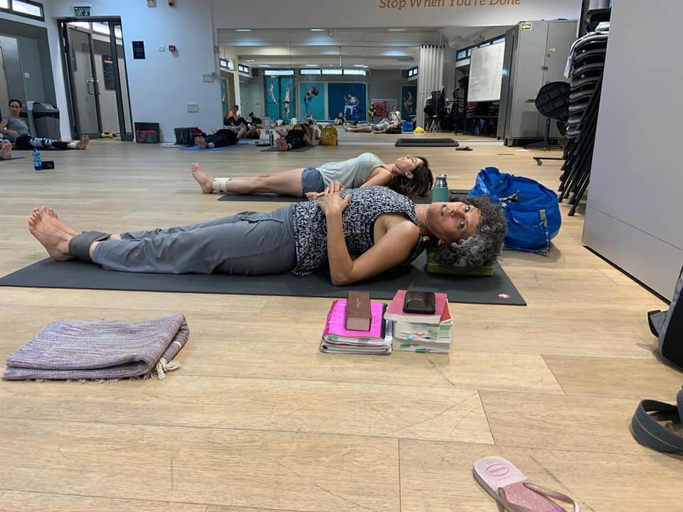 שחף אשל זמיר 