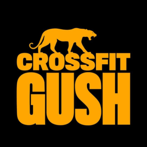 CrossFit Gush | lee
