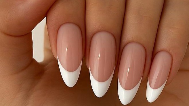 רועי טננבאום