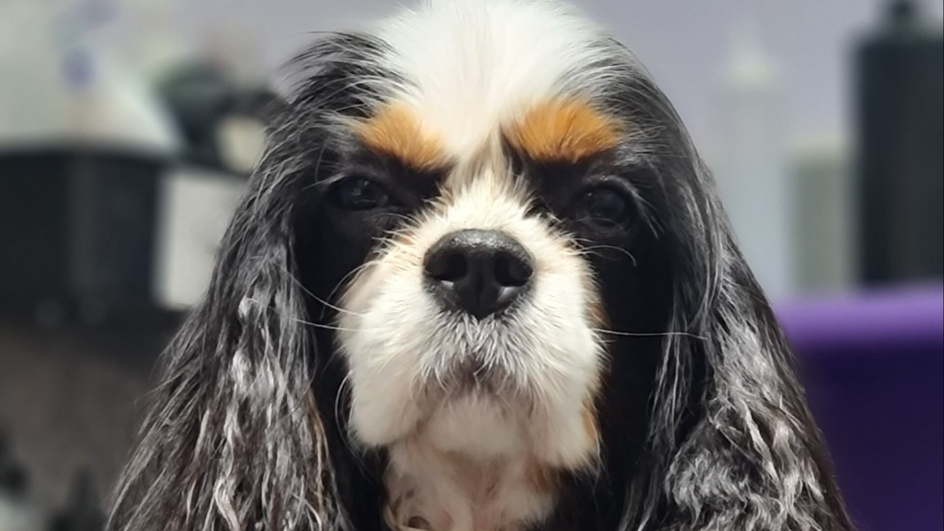 מירי לספר באהבה