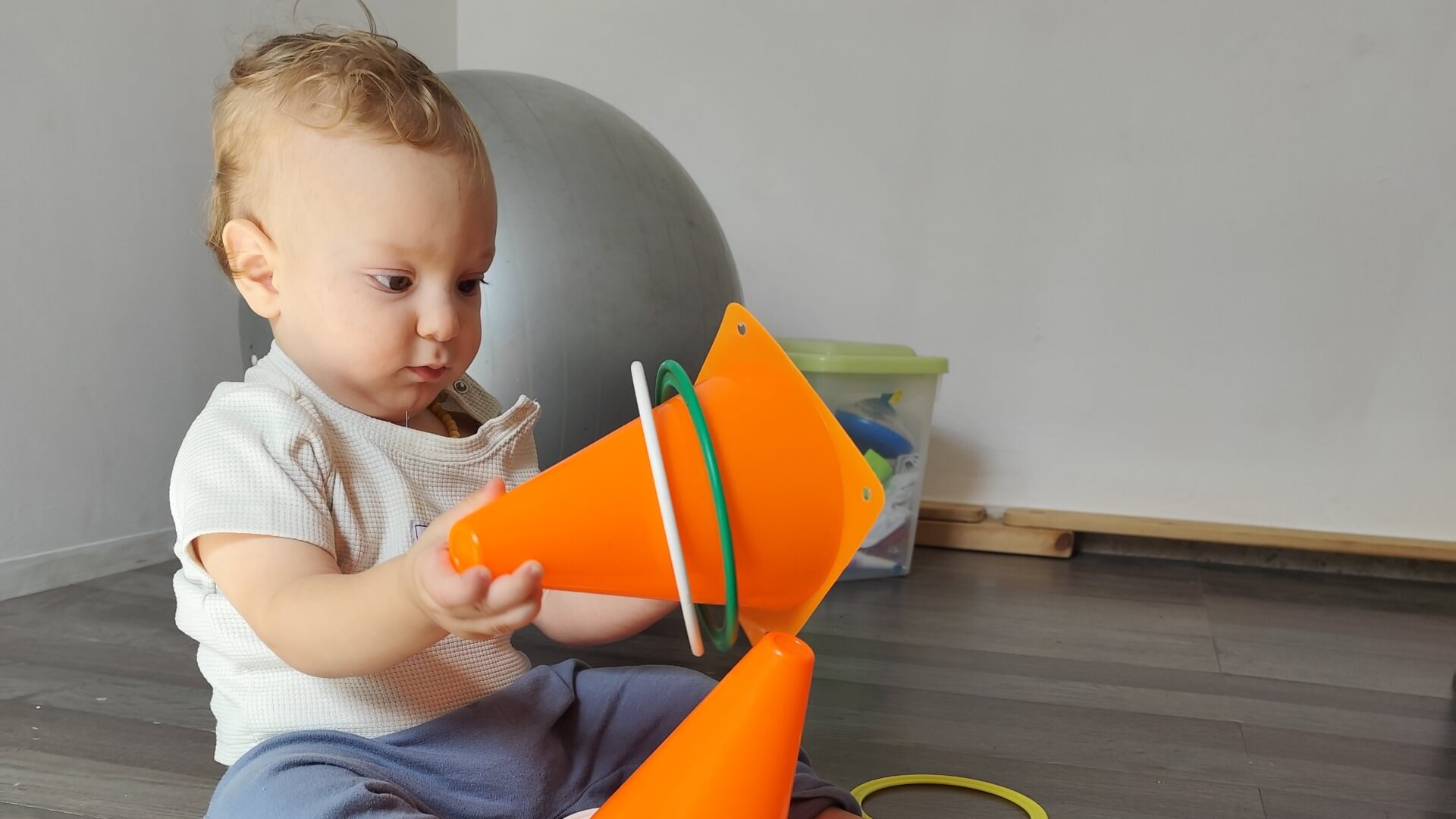 מתנועה למחשבה - התפתחות איזון וויסות