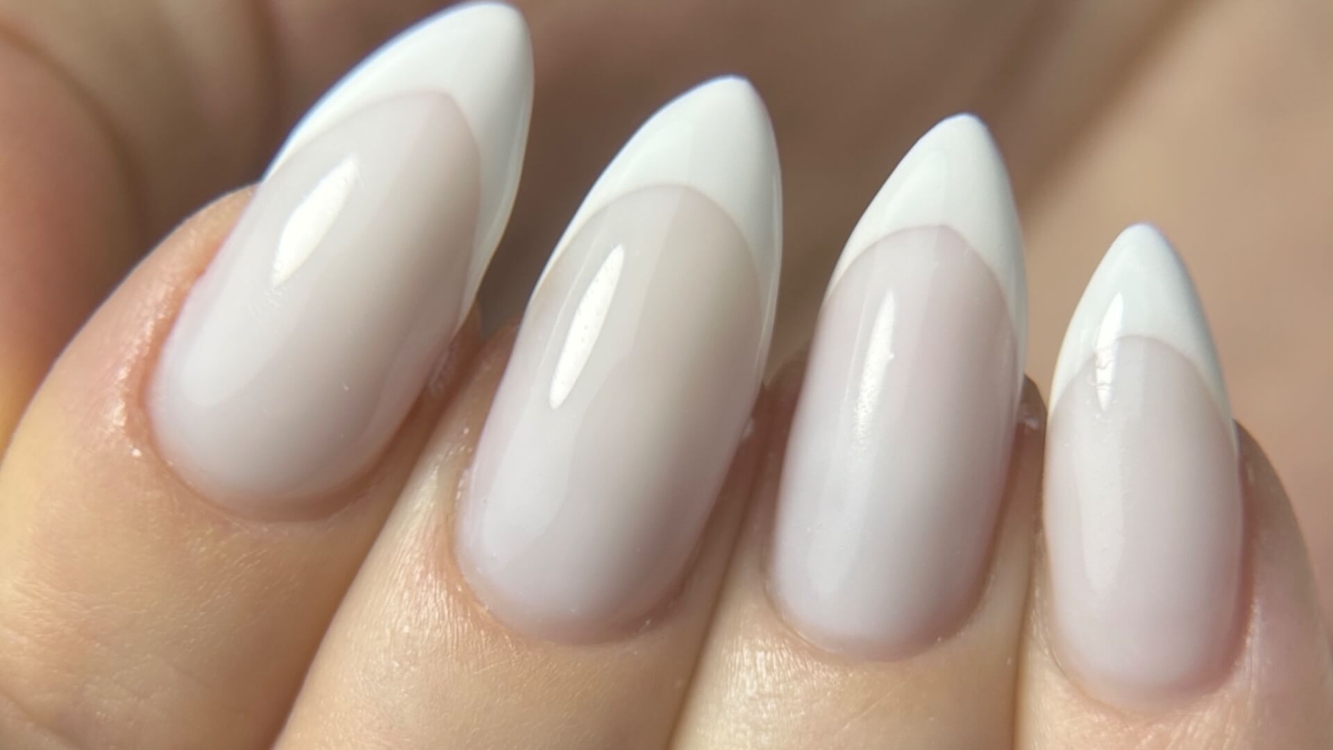 אלה ליבוביץ