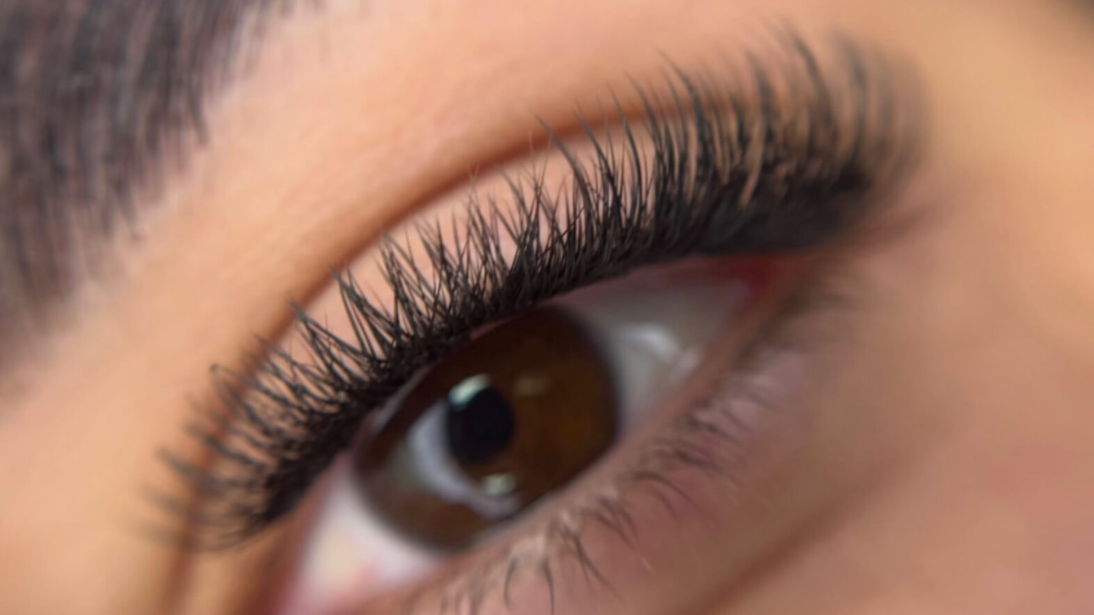 שקד דאון ביוטי 