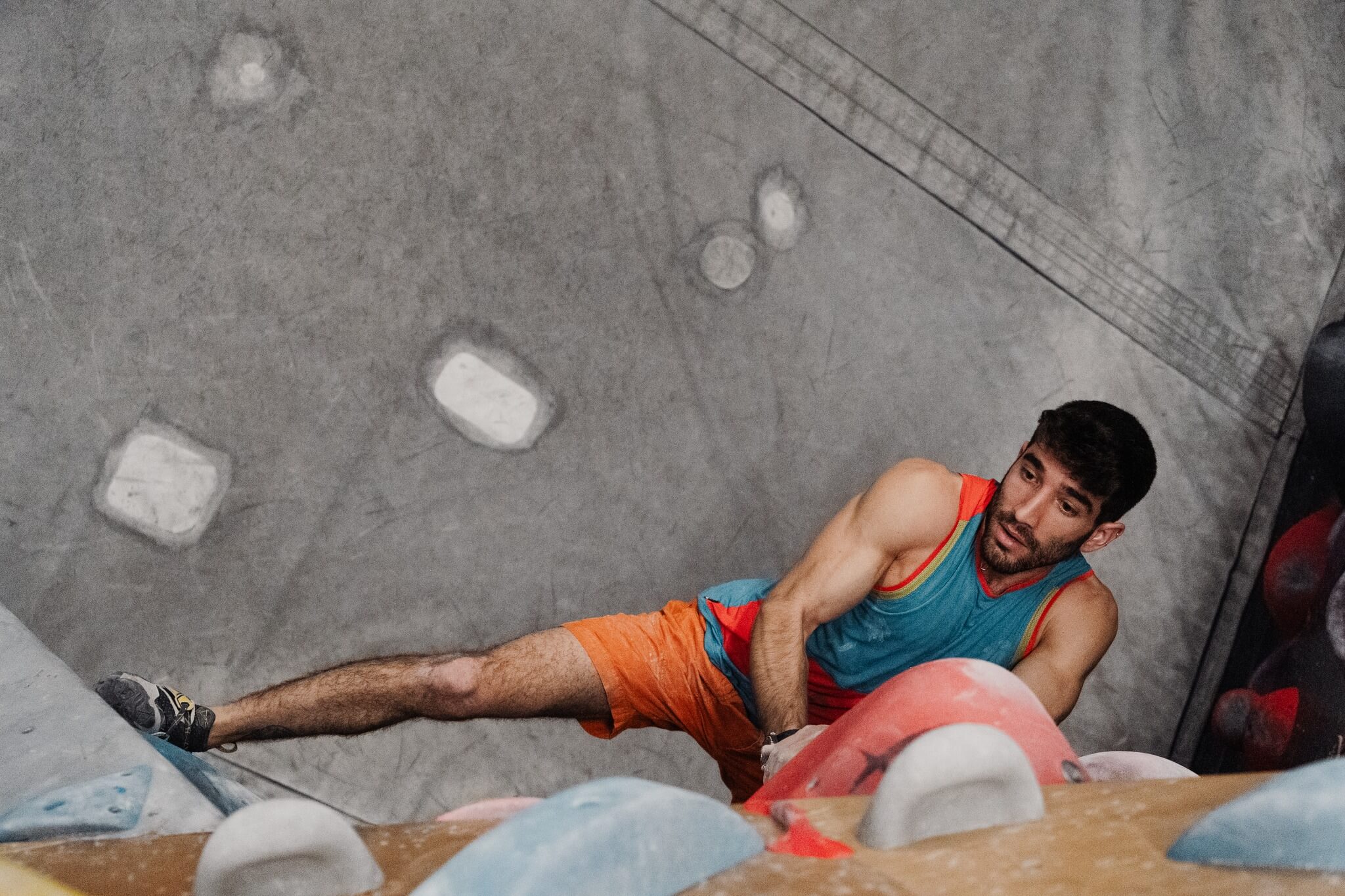 Monkeys Climbing Gym