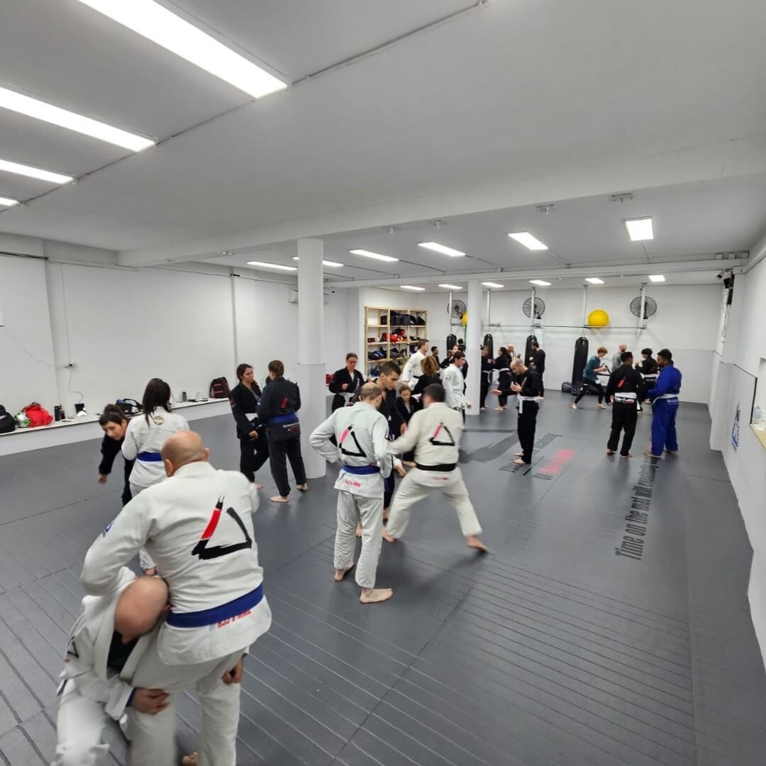 האקדמיה הישראלית לג'יו ג'יטסו ברזילאי - The Israeli Academy of BJJ & MMA