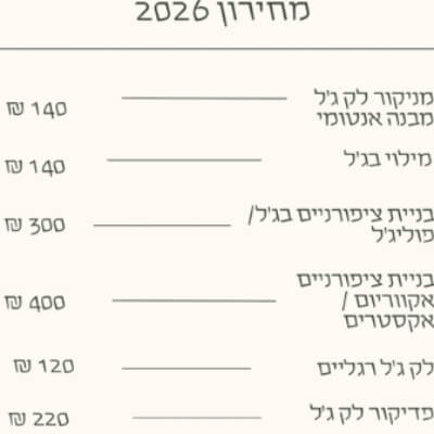 סיון אדרי סטודיו לציפורניים | lee